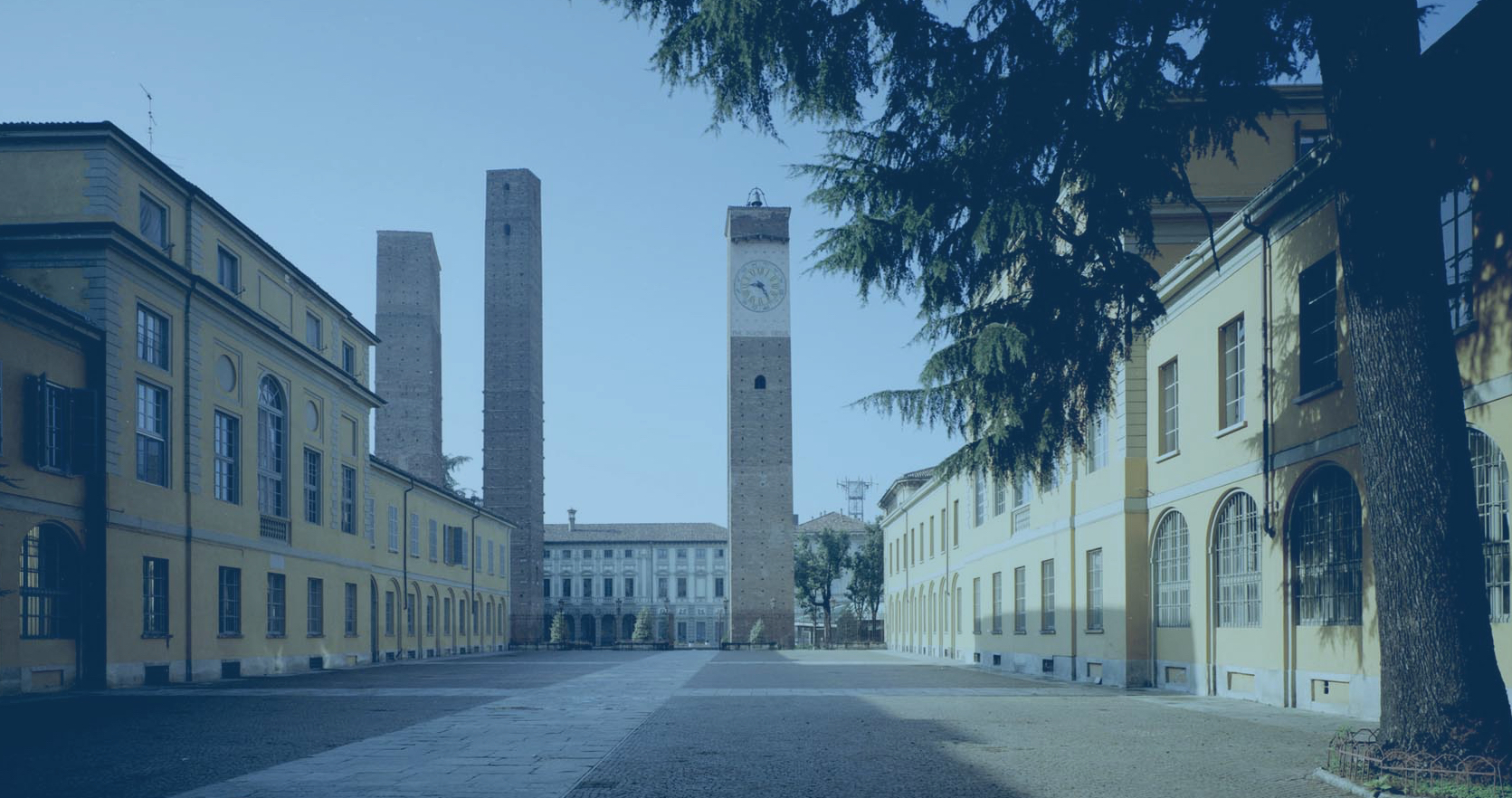 Scopri come rendere efficace la tua candidatura