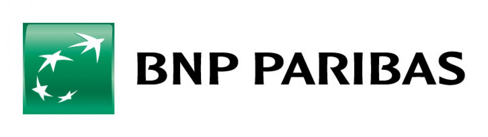 Logo BNP PARIBAS - Securities Services