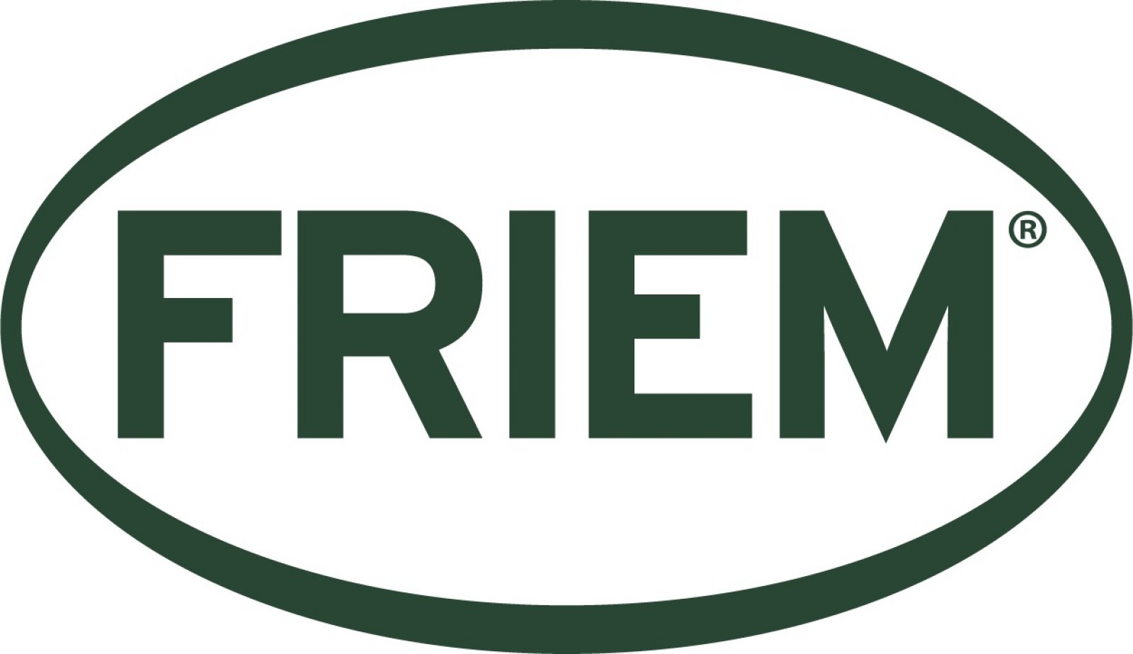 Logo Friem Spa