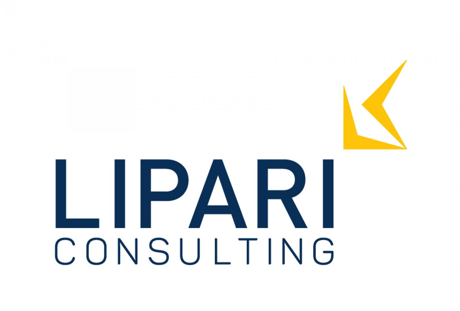 Logo Lipari Consulting