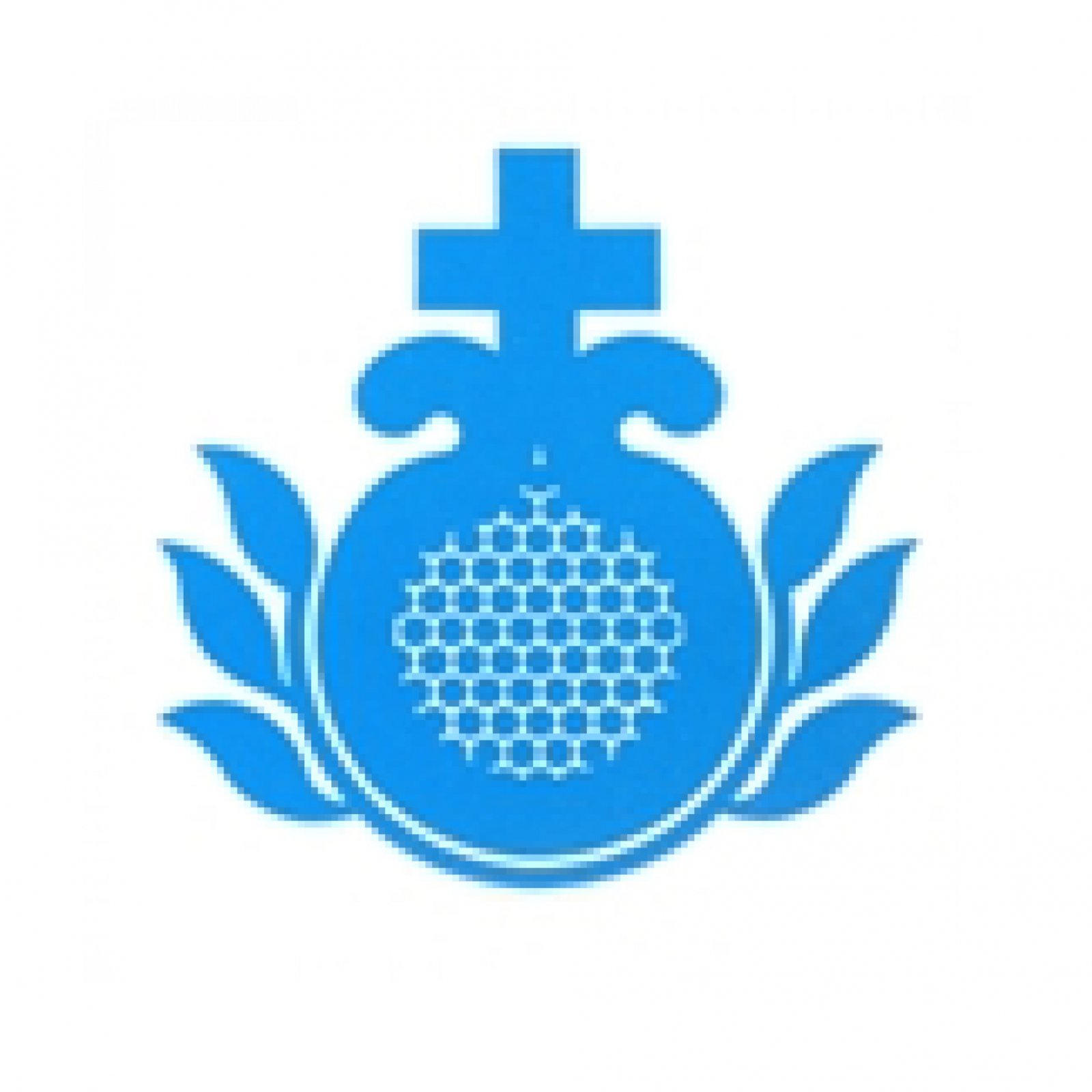 Logo Ordine Ospedaliero di San Giovanni di Dio Fatebenefratelli Provincia Lombardo Veneta