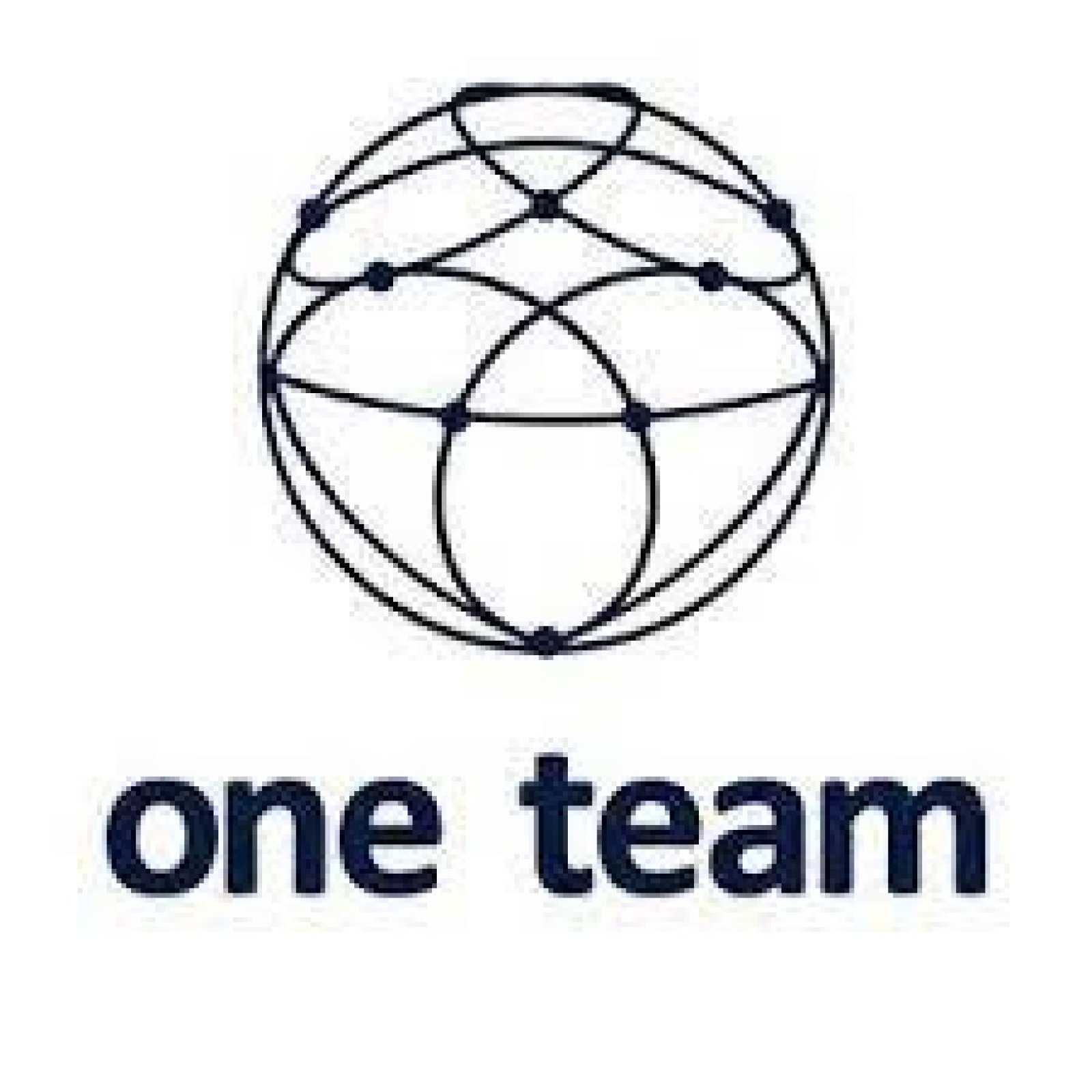 Logo One Team SRL