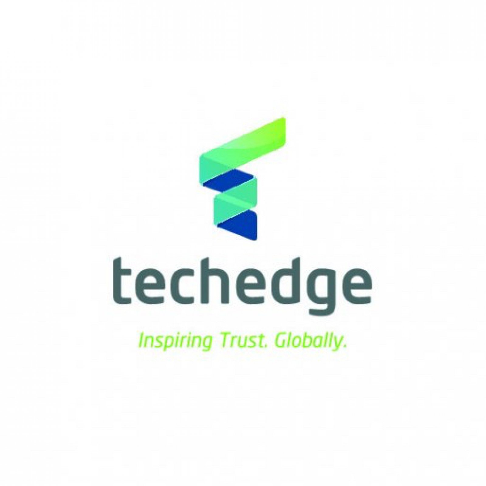 Logo Techedge 