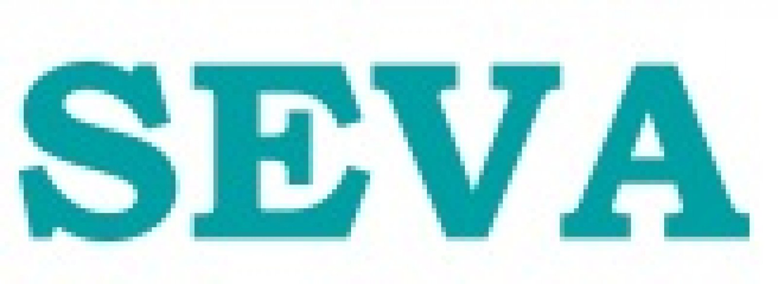 Logo SEVA S.r.l. SB