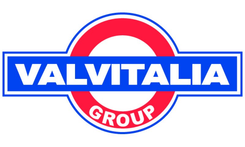 Logo VALVITALIA GROUP