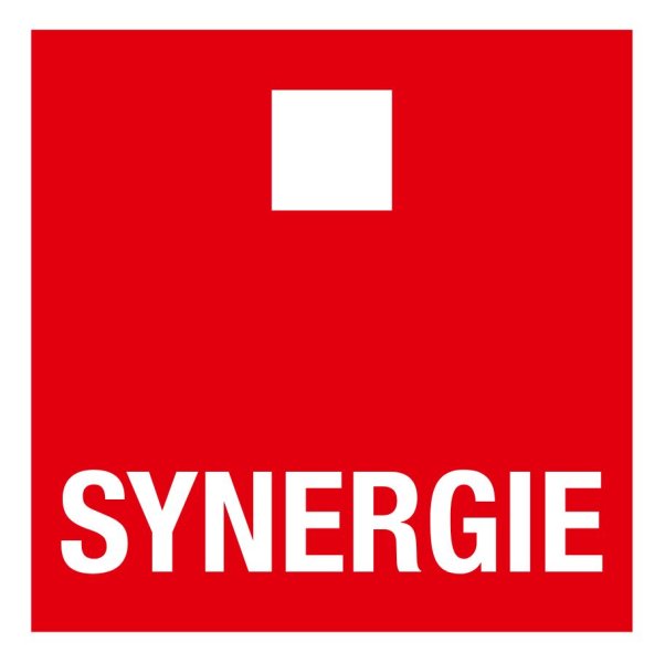 Logo SYNERGIE