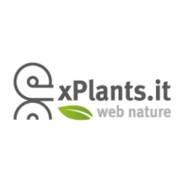 Logo xPlants.it