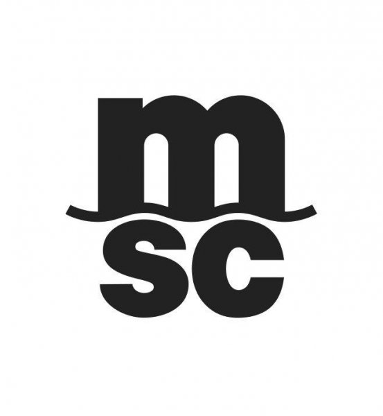 Logo MSC Technology Italia