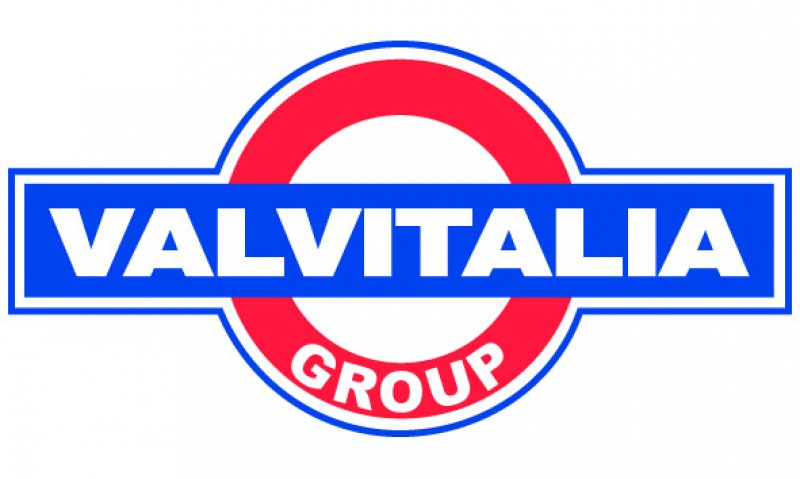 Logo VALVITALIA SPA