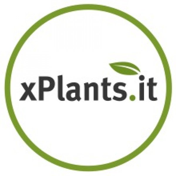 Logo xPlants.it