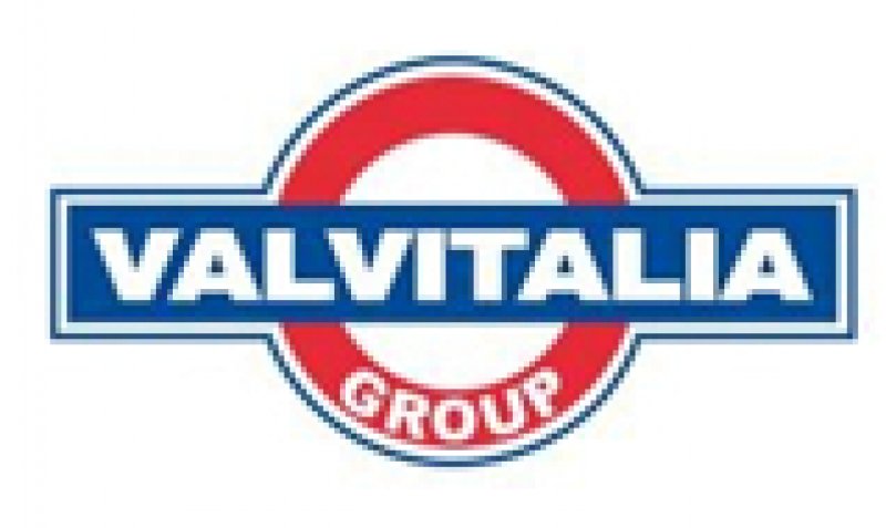 Logo VALVITALIA SPA