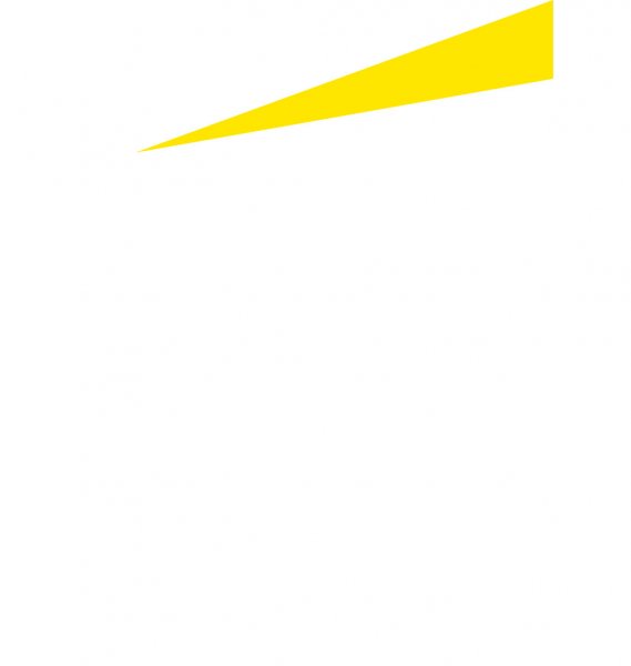 Logo EY